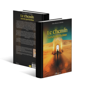 Le chemin vers la perfection